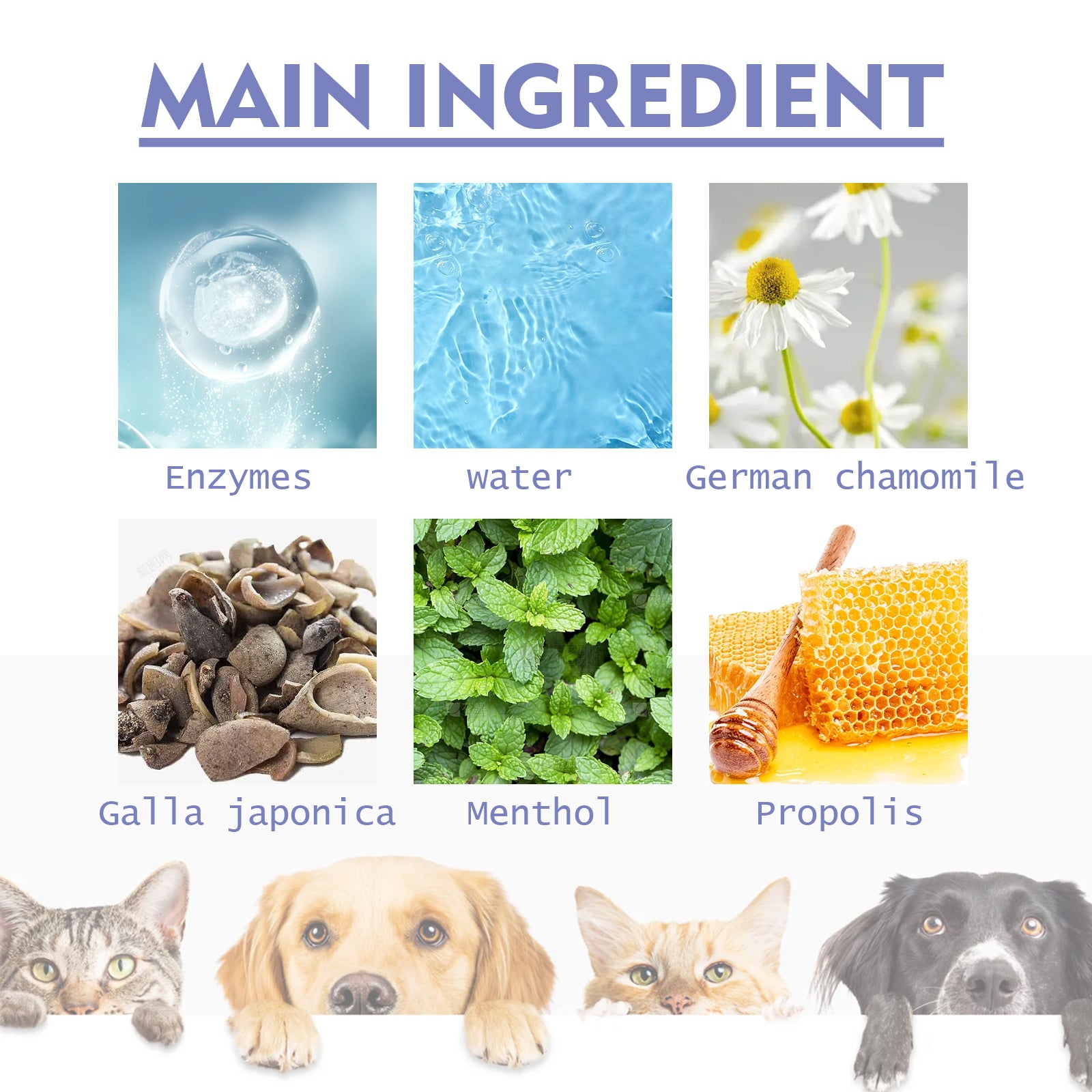 Spray Limpiador Dental para Perros y Gatos – Elimina Manchas y Refresca el Aliento