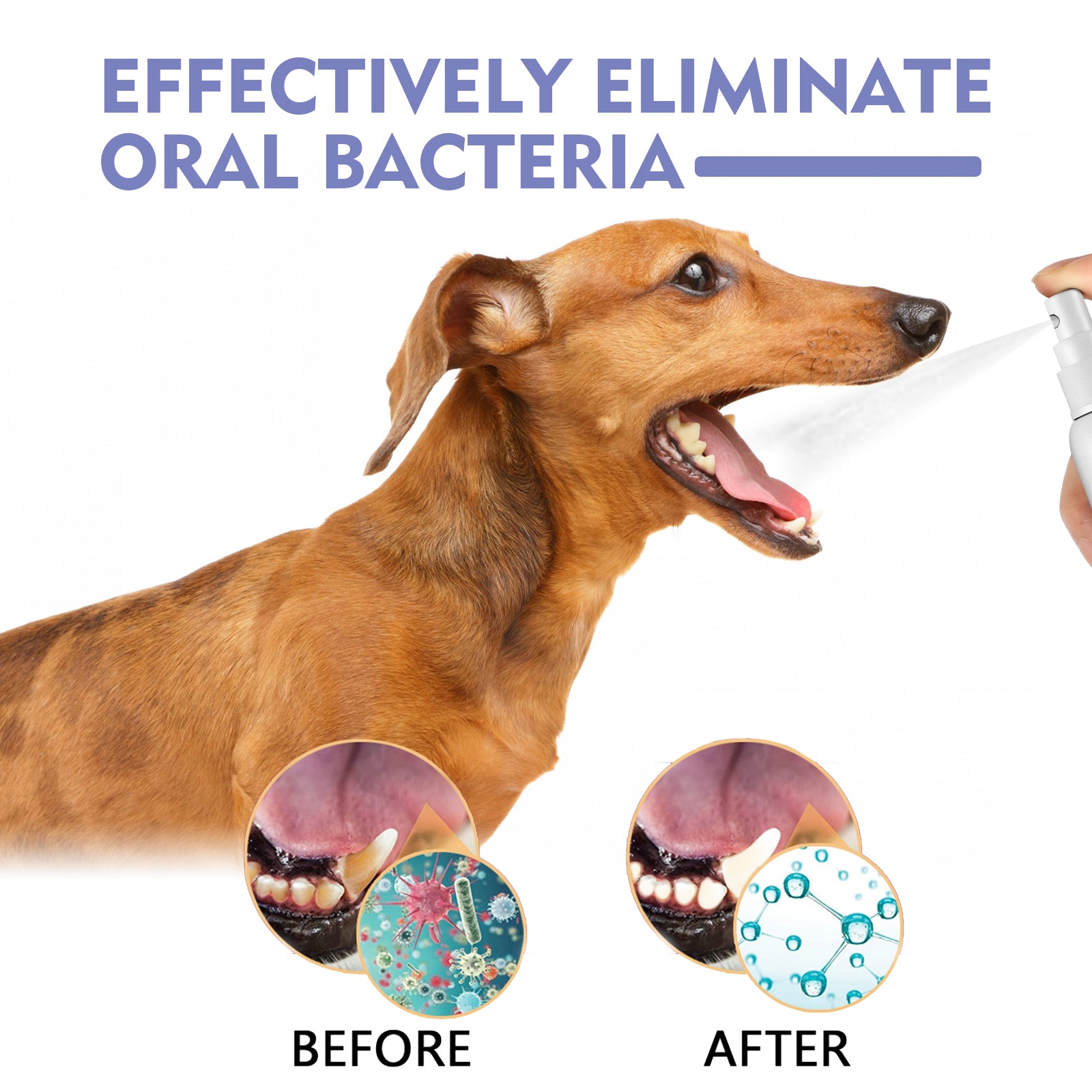 Spray Limpiador Dental para Perros y Gatos – Elimina Manchas y Refresca el Aliento