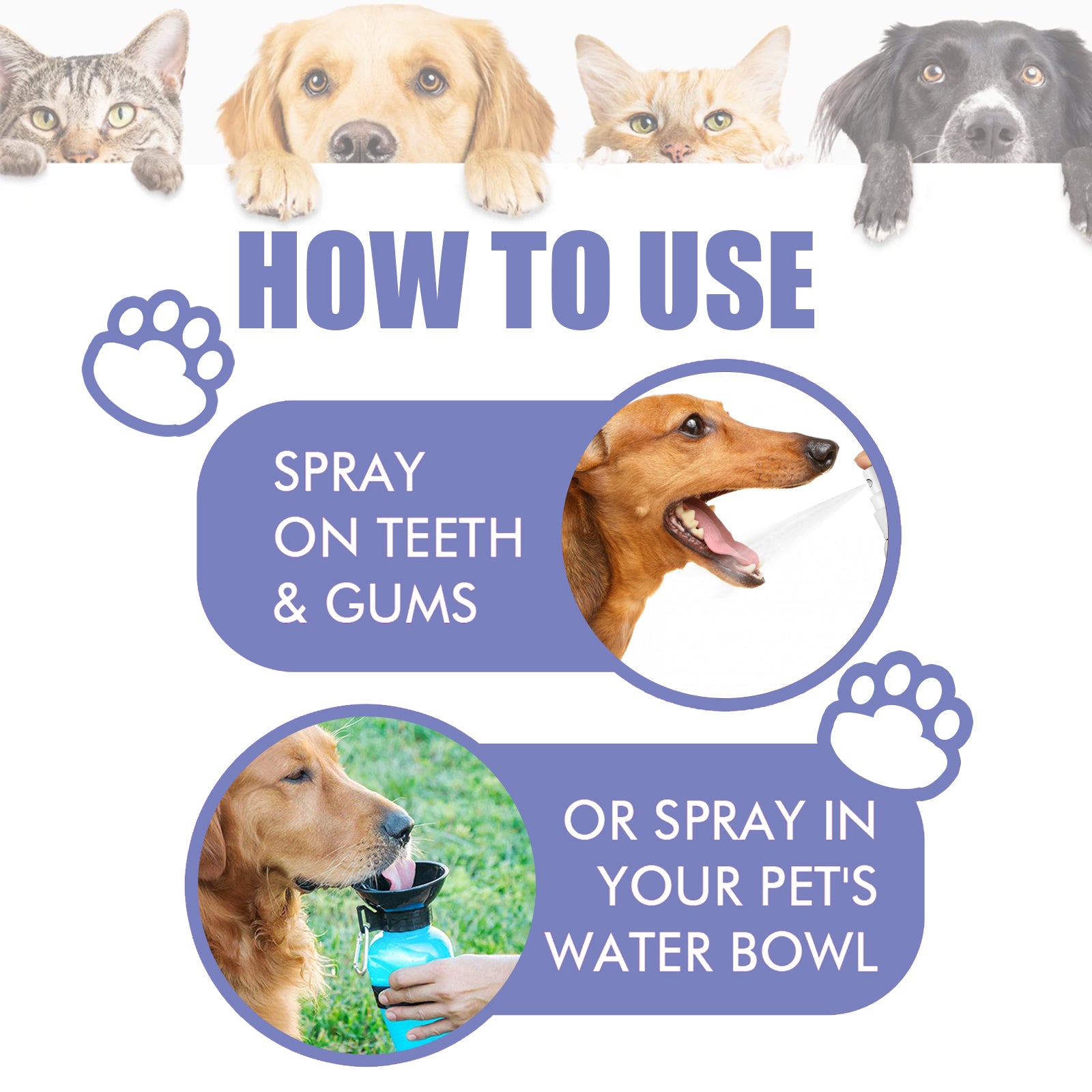 Spray Limpiador Dental para Perros y Gatos – Elimina Manchas y Refresca el Aliento