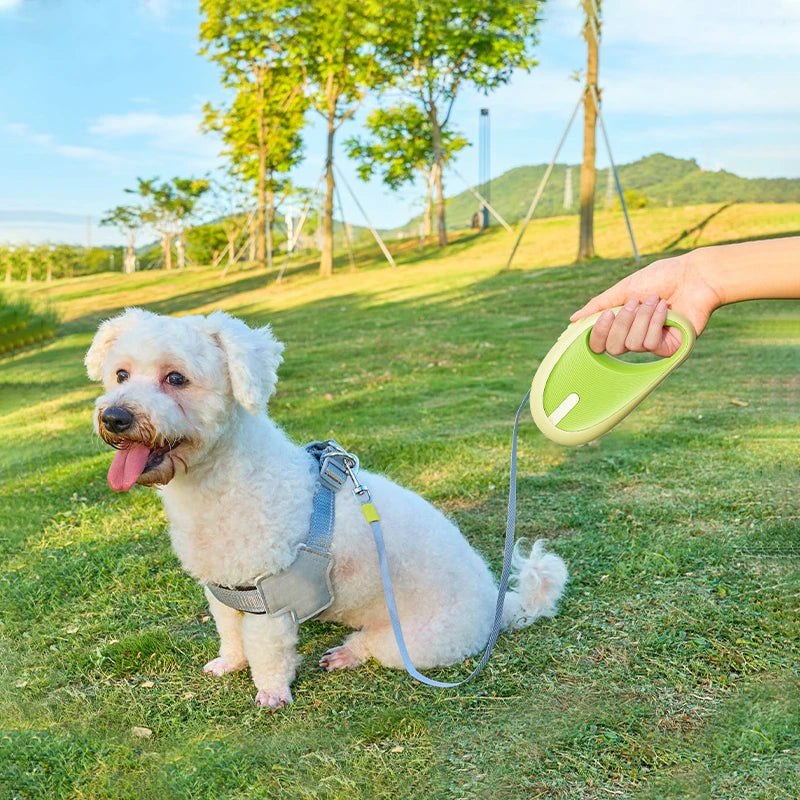 🐾 Correa Retráctil de 3m para Perros Pequeños y Gatos – Nylon Duradero para Paseos y Viajes, 1 pieza